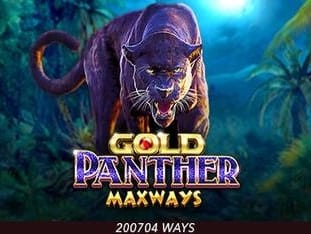 Gold Panther Maxways thumbnail